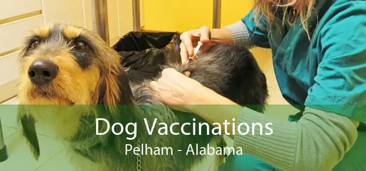 Dog Vaccinations Pelham - Alabama