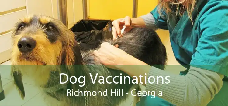 Dog Vaccinations Richmond Hill - Georgia