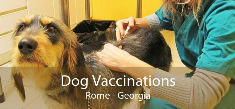 Dog Vaccinations Rome - Georgia
