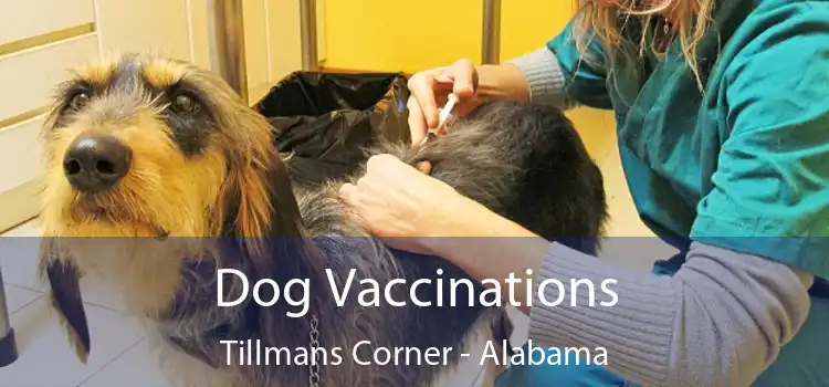 Dog Vaccinations Tillmans Corner - Alabama