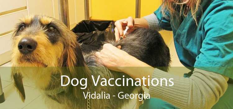 Dog Vaccinations Vidalia - Georgia