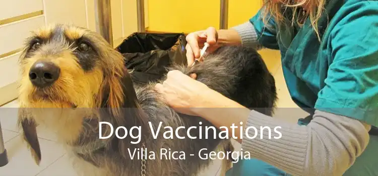 Dog Vaccinations Villa Rica - Georgia