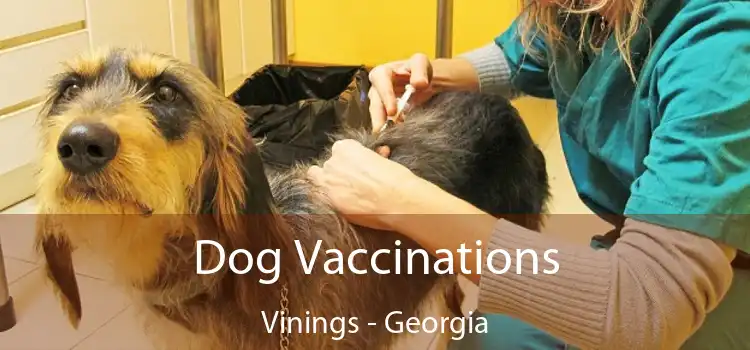Dog Vaccinations Vinings - Georgia