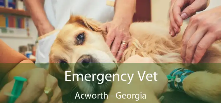 Emergency Vet Acworth - Georgia