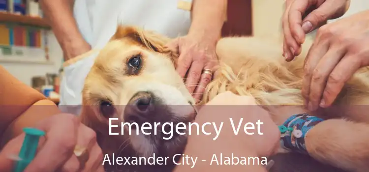 Emergency Vet Alexander City - Alabama