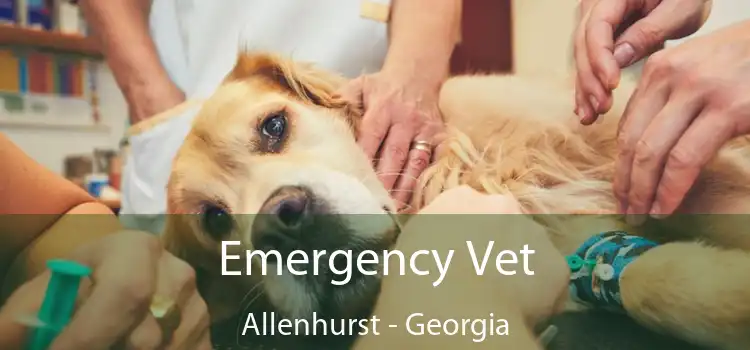 Emergency Vet Allenhurst - Georgia