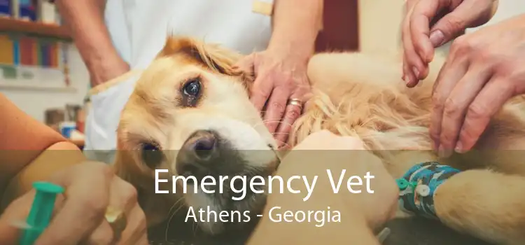 Emergency Vet Athens - Georgia