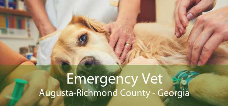 Emergency Vet Augusta-Richmond County - Georgia