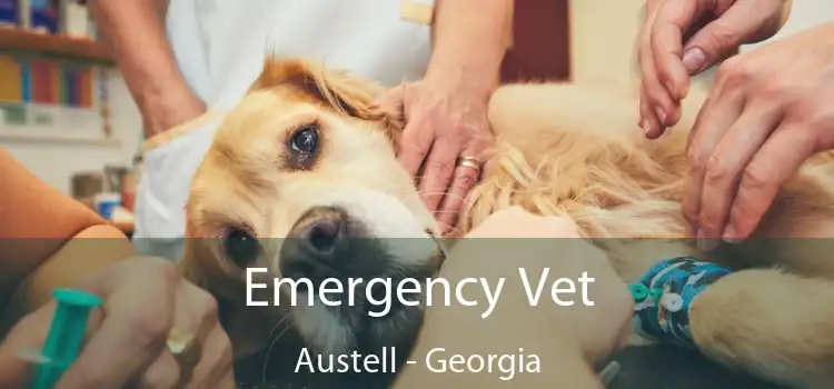 Emergency Vet Austell - Georgia