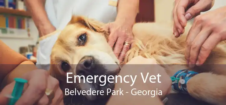 Emergency Vet Belvedere Park - Georgia