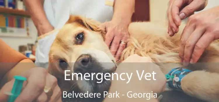 Emergency Vet Belvedere Park - Georgia