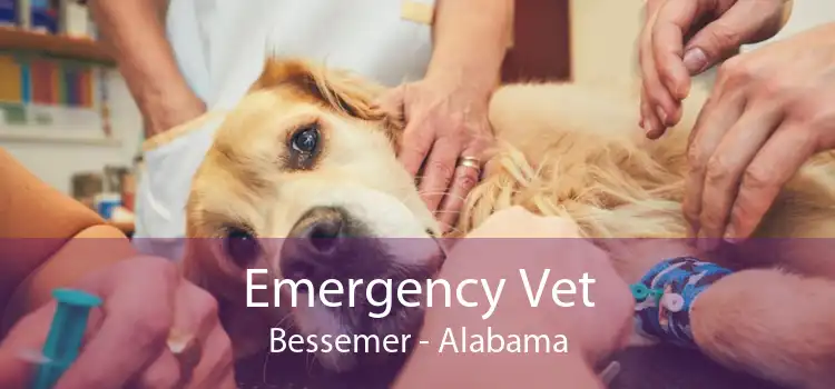 Emergency Vet Bessemer - Alabama