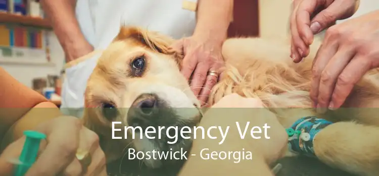 Emergency Vet Bostwick - Georgia