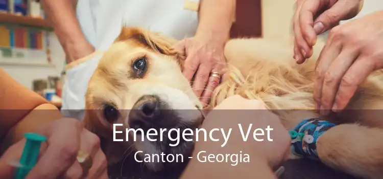 Emergency Vet Canton - Georgia