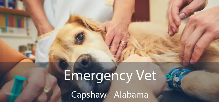 Emergency Vet Capshaw - Alabama