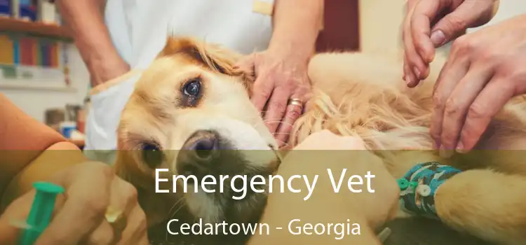 Emergency Vet Cedartown - Georgia