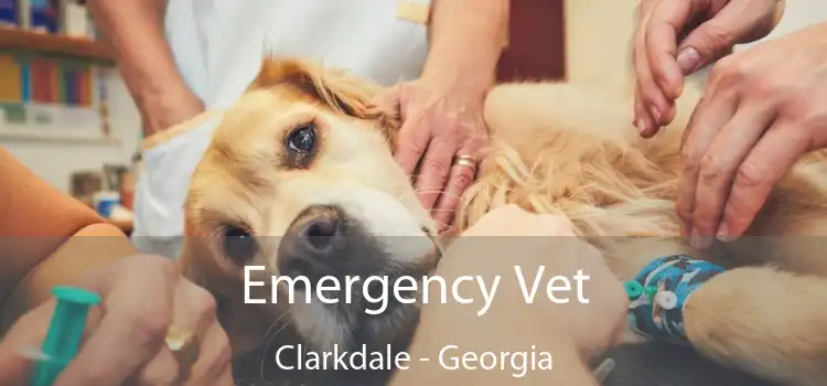 Emergency Vet Clarkdale - Georgia