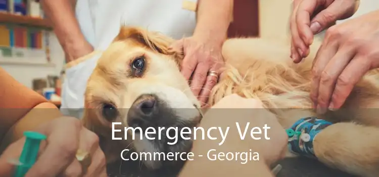 Emergency Vet Commerce - Georgia