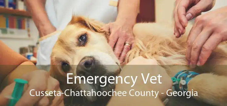 Emergency Vet Cusseta-Chattahoochee County - Georgia