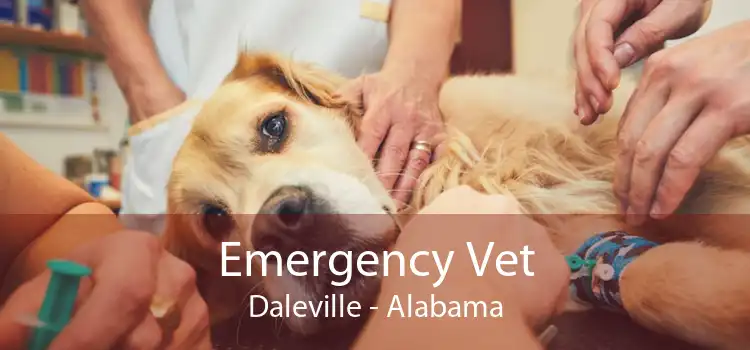 Emergency Vet Daleville - Alabama