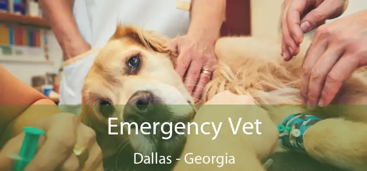 Emergency Vet Dallas - Georgia