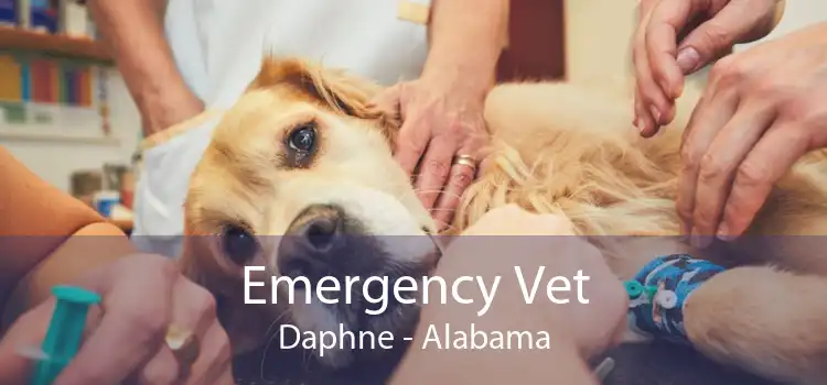 Emergency Vet Daphne - Alabama