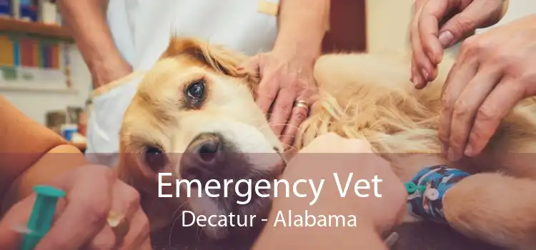 Emergency Vet Decatur - Alabama