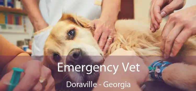 Emergency Vet Doraville - Georgia