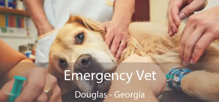 Emergency Vet Douglas - Georgia