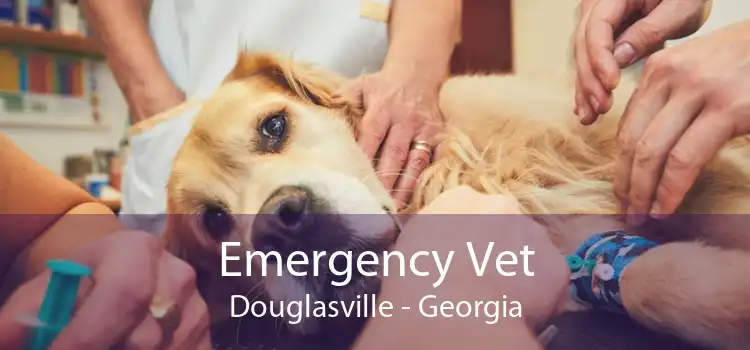 Emergency Vet Douglasville - Georgia