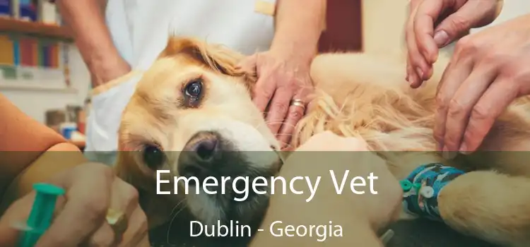 Emergency Vet Dublin - Georgia