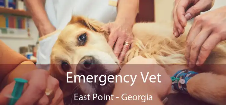 Emergency Vet East Point - Georgia