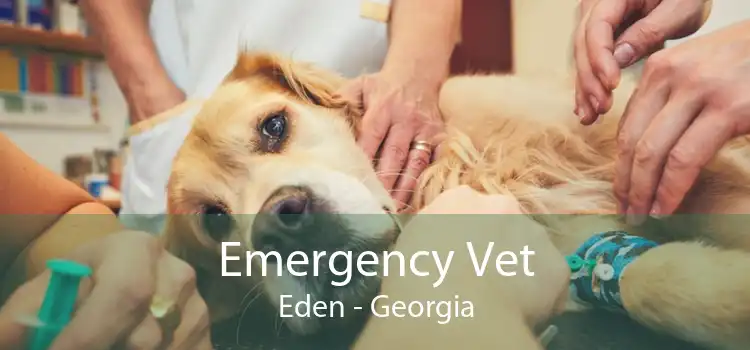 Emergency Vet Eden - Georgia