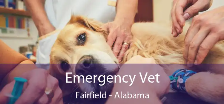 Emergency Vet Fairfield - Alabama