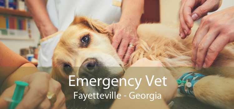 Emergency Vet Fayetteville - Georgia