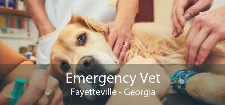 Emergency Vet Fayetteville - Georgia