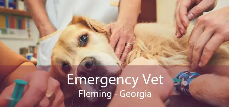 Emergency Vet Fleming - Georgia