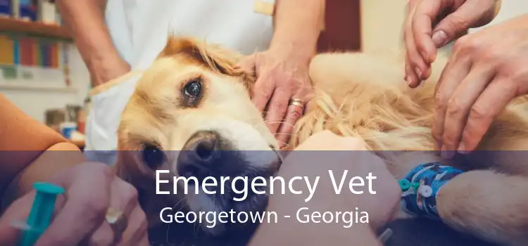 Emergency Vet Georgetown - Georgia