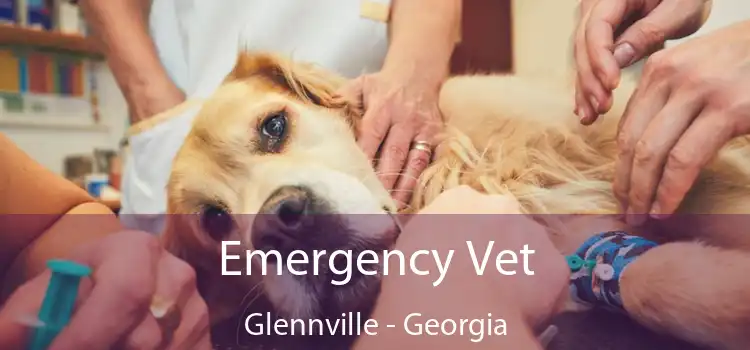 Emergency Vet Glennville - Georgia