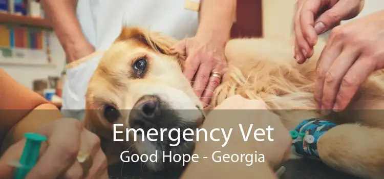 Emergency Vet Good Hope - Georgia