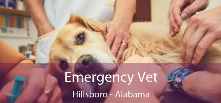 Emergency Vet Hillsboro - Alabama