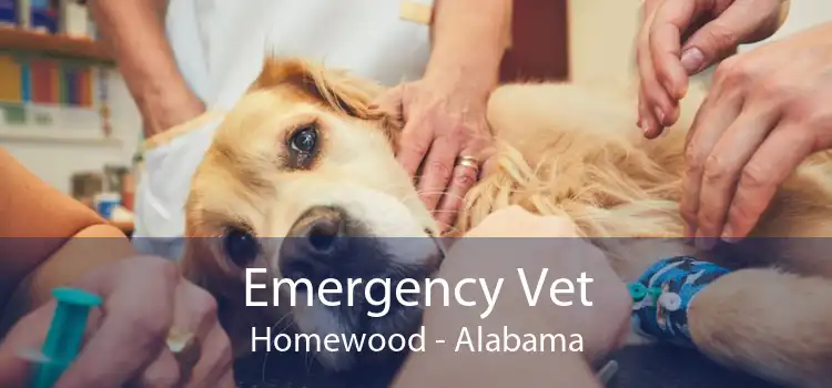 Emergency Vet Homewood - Alabama