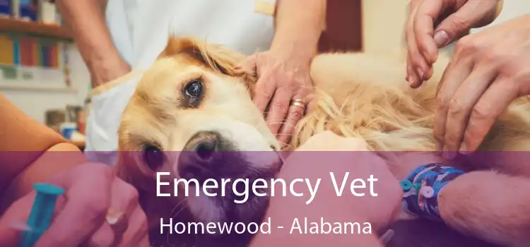 Emergency Vet Homewood - Alabama