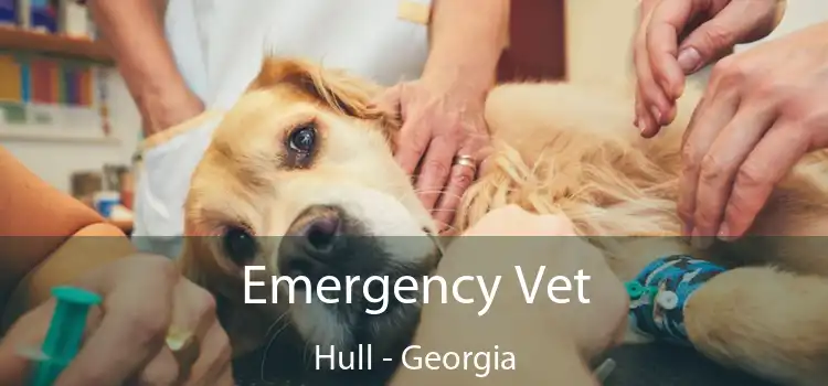 Emergency Vet Hull - Georgia