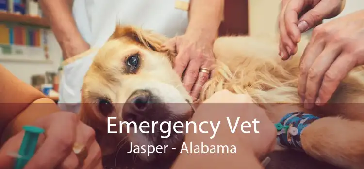 Emergency Vet Jasper - Alabama
