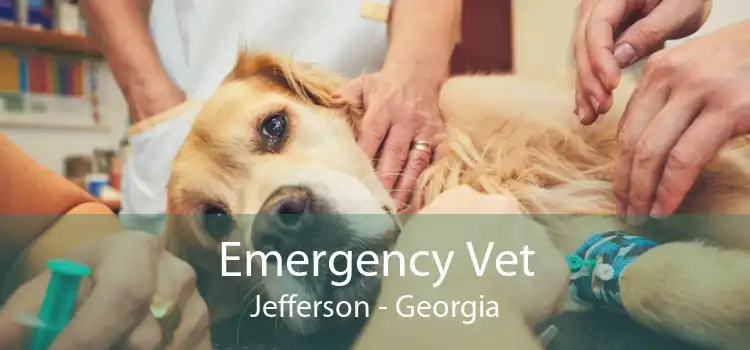 Emergency Vet Jefferson - Georgia