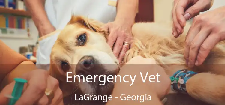 Emergency Vet LaGrange - Georgia