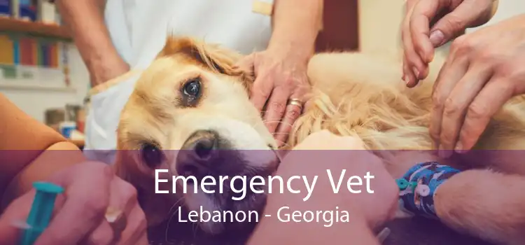 Emergency Vet Lebanon - Georgia