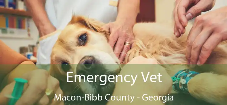 Emergency Vet Macon-Bibb County - Georgia