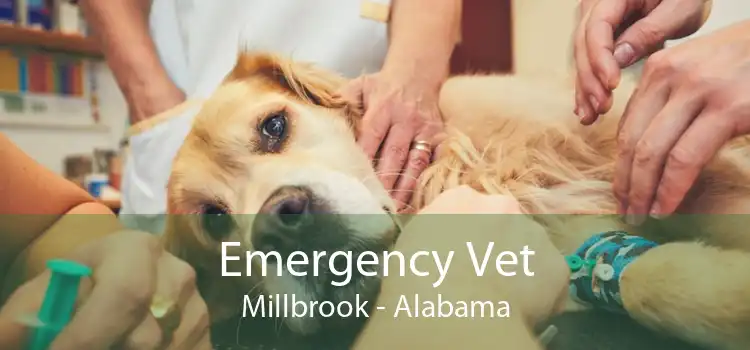 Emergency Vet Millbrook - Alabama